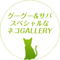 グーグー&サバ スペシャルなネコGALLERY