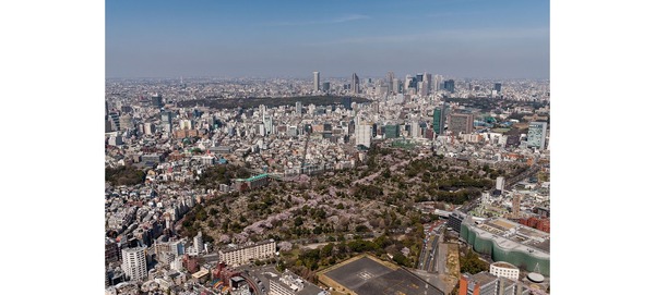東京シティービューからの眺め。