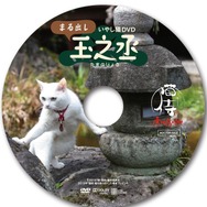 『猫侍　南の島へ行く』入場者特典第1弾　(C)2015「続・猫侍」製作委員会