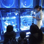 「すみだ水族館」水族館で飼育スタッフ体験　(c)TOKYO-SKYTREETOWN