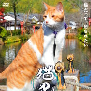「猫忍 猫が見るDVD 父上の江戸ネコ歩き」発売・販売：AMGエンタテインメント