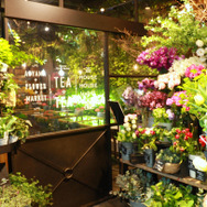 花と緑に囲まれた癒し空間「青山フラワーマーケット ティーハウス」