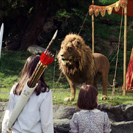 ナルニア国物語／第1章：ライオンと魔女 3枚目の写真・画像