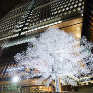 東京ガーデンテラス紀尾井町「輝きの集い2017」
