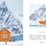 「ウェス・アンダーソンの風景」ロルブー・キャビン RORBU CABIN   Lofoten, Norway   Photos by Maria Vanonen @mariavanonen