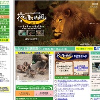 旭山、上野ほか全国6園で「夜の動物園」が開催！　ビアガーデンや音楽ライブも　 画像