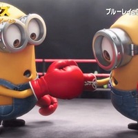 【特別映像】『ミニオンズ』、ライバルのボクシング対決の行方は!? 画像