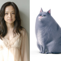 永作博美、『ペット』で姉御肌の猫に抜擢！ 「無愛想さがかわいい」 画像