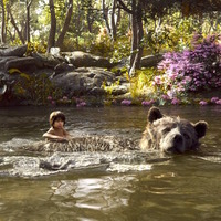 『ジャングル・ブック』の陽気なクマは、オスカー俳優を襲ったあのクマと“兄弟”!? 画像