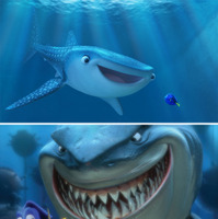 今度の“サメ”は水族館のアイドル！『ファインディング・ドリー』 画像