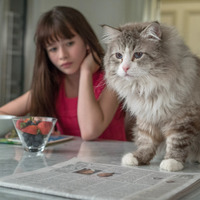 【予告編】ケヴィン・スペイシーも猫の習性には逆らえニャい!?『メン・イン・キャット』 画像