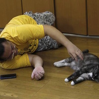 相撲部屋で暮らす話題の猫に密着！「相撲部屋の幸せな猫たち」写真集発売 画像