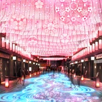 日本橋エリアに桜の新スポット誕生！ 「日本橋 桜フェスティバル」開催 画像