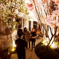 アンダーズ 東京「ルーフトップ バー」で夜景とお酒＆美食が楽しめる「さくら ガーデン」開催 画像