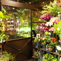 花と緑に囲まれた癒し空間「青山フラワーマーケット ティーハウス」 画像
