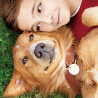 “3度も生まれ変わった”犬と少年のラブストーリー『僕のワンダフル・ライフ』公開へ 画像