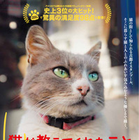 猫と人々の幸せな関係…ドキュメンタリー『猫が教えてくれたこと』公開決定 画像