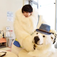 吉沢亮、波瑠主演「サバイバル・ウェディング」まさかの“着ぐるみ姿”で撮入 画像