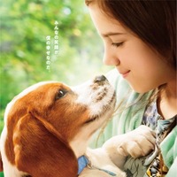 見つめ合う少女と犬の姿…幸せな涙溢れる予感の『僕のワンダフル・ジャーニー』ポスター 画像