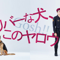 オダギリジョー演出「オリバーな犬」池松壮亮が制服まとったメインビジュアル公開 画像
