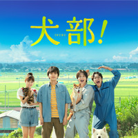 林遣都×中川大志『犬部！』Blu-rayリリース、約120分の豪華特典映像収録 画像