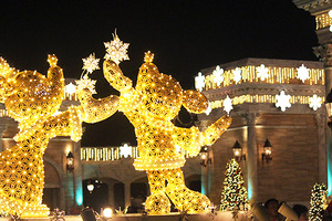 【東京ディズニーリゾートのクリスマス】冬パレード～記念撮影スポットまで＜5つの魅力＞ 画像