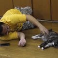 相撲部屋で暮らす話題の猫に密着！「相撲部屋の幸せな猫たち」写真集発売・画像