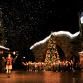 【USJ】広瀬すず、魔法でツリーを点灯！“魔法界のクリスマス”オープニング・セレモニー・画像