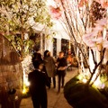 アンダーズ 東京「ルーフトップ バー」で夜景とお酒＆美食が楽しめる「さくら ガーデン」開催・画像