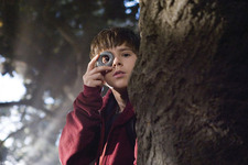 スパイダーウィックの謎