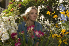 ダイアナの選択