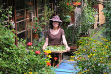 ベニシアさんの四季の庭