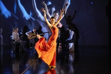 J：ビヨンド・フラメンコ