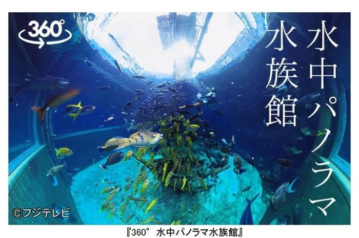 360度動画「水中パノラマ水族館」