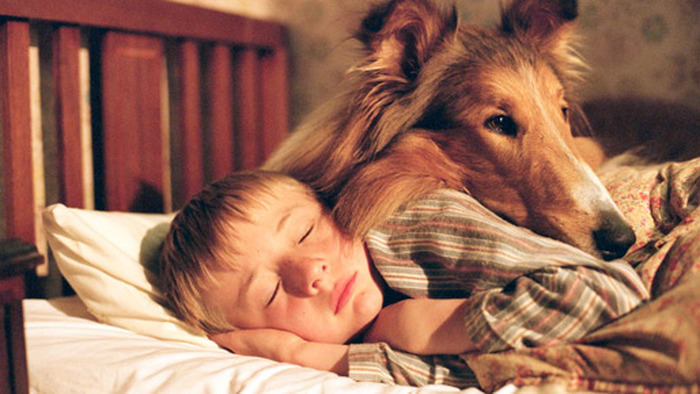『名犬ラッシー (2005)』　メイン