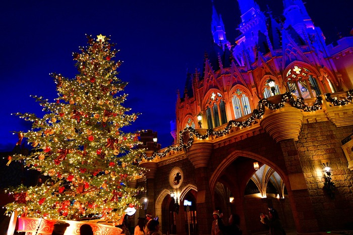 ディズニー】生木のツリーに心温まる、35周年のランドのクリスマス