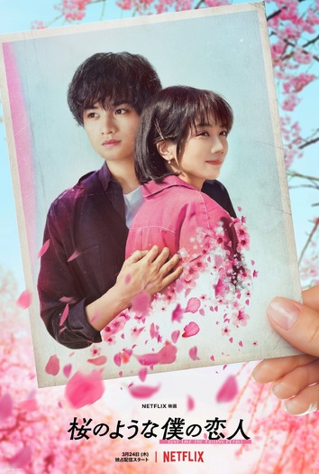 『桜のような僕の恋人』2022年3月24日（木）Netflixにて全世界同時配信