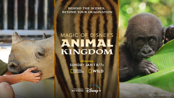 『Magic of Disney’s Animal Kingdom　ディズニー・アニマルキングダムの魔法』シーズン2© 2023 National Geographic Partners LCC.
