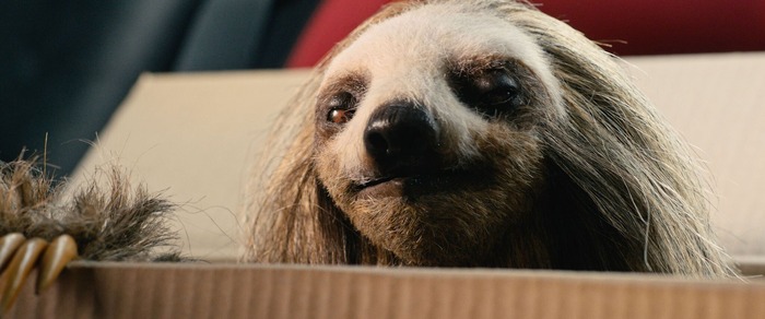 『キラー・ナマケモノ』©2023 Slotherhouse™ All rights reserved