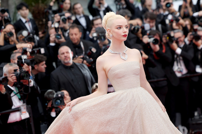 カンヌ国際映画祭レッドカーペット Photo by Pascal Le Segretain/Getty Images