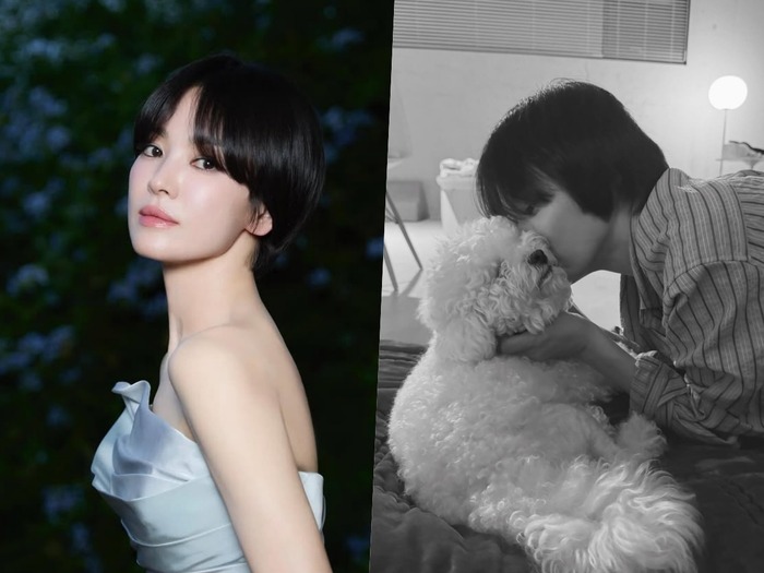 女優ソン・ヘギョ、愛犬と再会した“かけがえのない瞬間”を公開。女優仲間たちも「いいね！」【PHOTO】