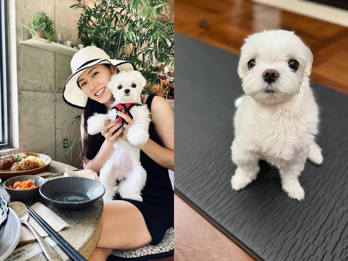 『愛の不時着』ソン・イェジン、愛犬とのささやかな日常に“ほっこり”。「おやつも食べたのに…」【PHOTO】