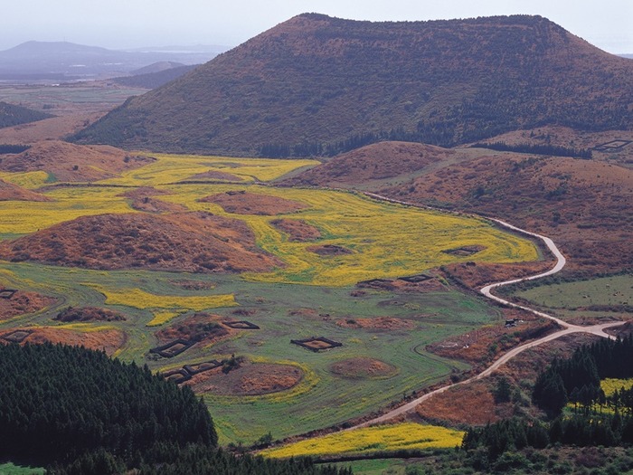 「ロケ地名所」済州島の景観を代表するオルムとは何か