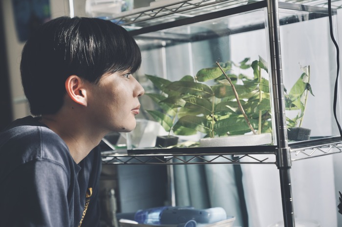 『恋に至る病』Ⓒ2025『恋に至る病』製作委員会