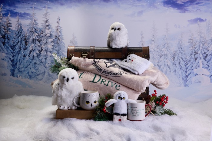 「ワーナー ブラザース スタジオツアー東京 – メイキング・オブ・ ハリー・ポッター」