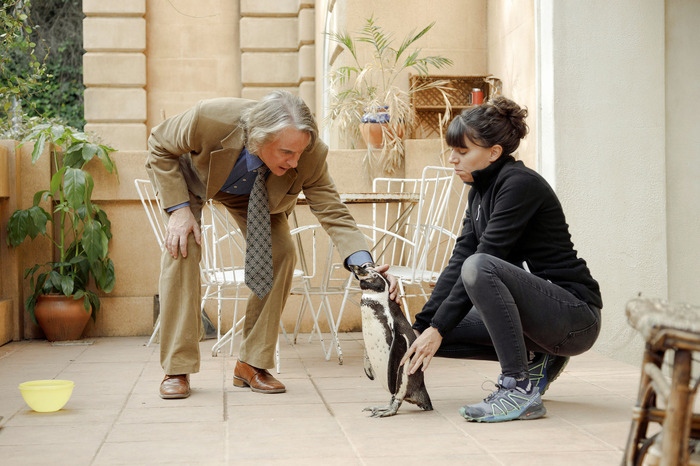 『ペンギン・レッスン』