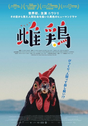 『雌鶏』©2025 Pallas Film-Twenty Twenty Vision-View Master Films-ZDF