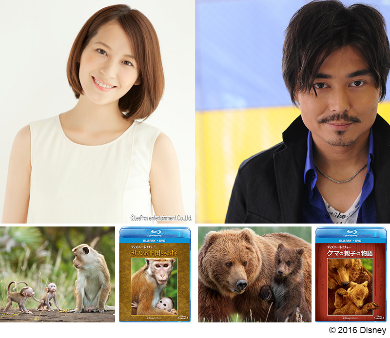 青木裕子＆小澤征悦が明かす『ディズニーネイチャー』の魅力 | cinemacafe.net