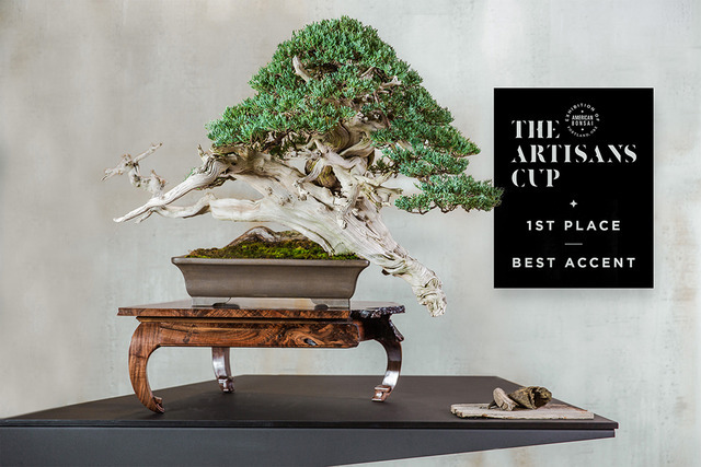 213008.jpg?zoom=spacing