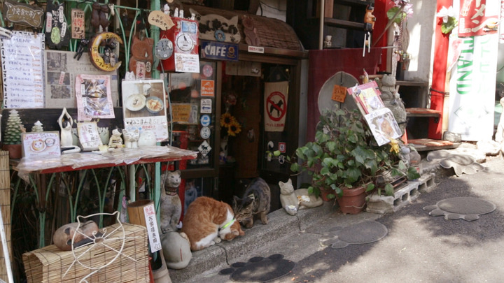 レトロで不思議なネコ屋敷・谷中「ねんねこ家」で、 気まぐれネコと